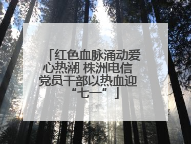 红色血脉涌动爱心热潮 株洲电信党员干部以热血迎“七一”
