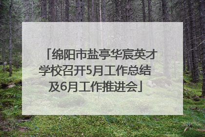 绵阳市盐亭华宸英才学校召开5月工作总结及6月工作推进会