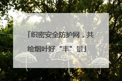 织密安全防护网，共绘烟叶好“丰”景
