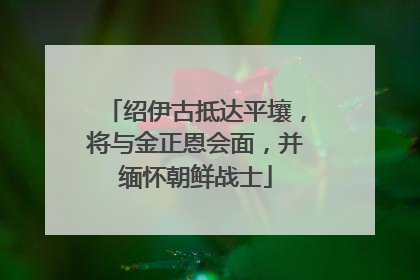 绍伊古抵达平壤，将与金正恩会面，并缅怀朝鲜战士