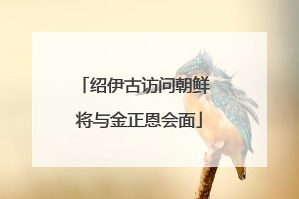 绍伊古访问朝鲜 将与金正恩会面