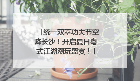 统一双萃功夫节空降长沙！开启夏日粤式江湖潮玩盛宴！