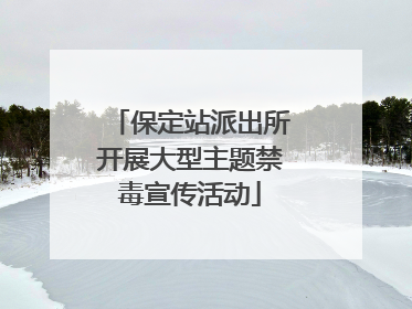 保定站派出所开展大型主题禁毒宣传活动