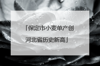 保定市小麦单产创河北省历史新高