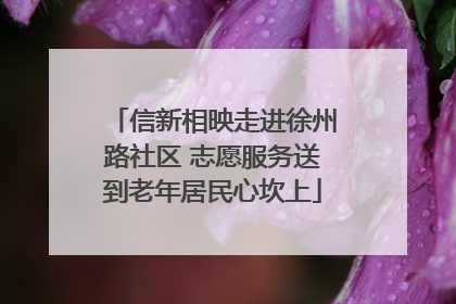 信新相映走进徐州路社区 志愿服务送到老年居民心坎上