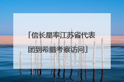 信长星率江苏省代表团到希腊考察访问
