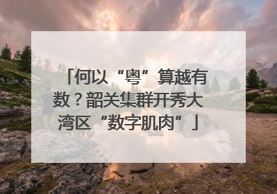 何以“粤”算越有数？韶关集群开秀大湾区“数字肌肉”