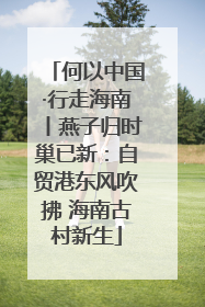 何以中国·行走海南丨燕子归时巢已新：自贸港东风吹拂 海南古村新生