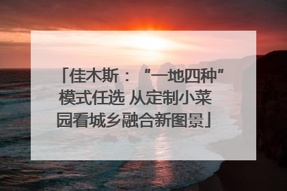 佳木斯：“一地四种” 模式任选 从定制小菜园看城乡融合新图景