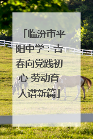 临汾市平阳中学：青春向党践初心 劳动育人谱新篇