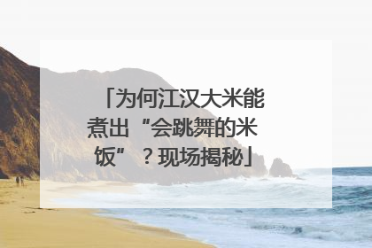 为何江汉大米能煮出“会跳舞的米饭”？现场揭秘