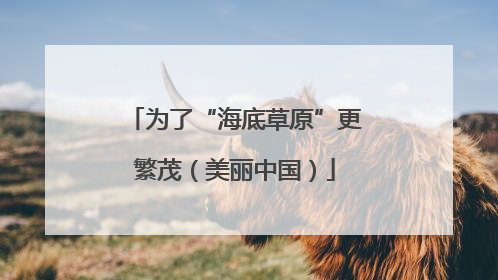 为了“海底草原”更繁茂（美丽中国）