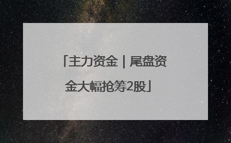 主力资金｜尾盘资金大幅抢筹2股