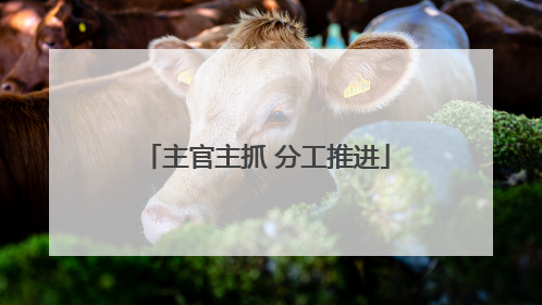 主官主抓 分工推进