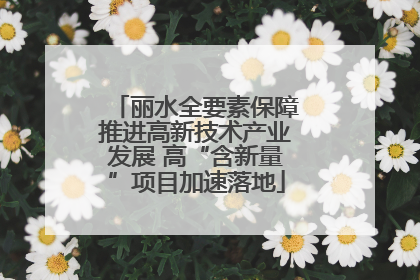 丽水全要素保障推进高新技术产业发展 高“含新量”项目加速落地