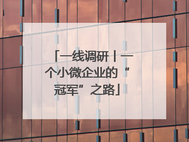 一线调研丨一个小微企业的“冠军”之路