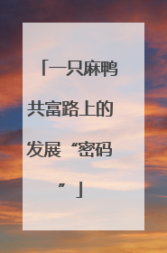 一只麻鸭共富路上的发展“密码”