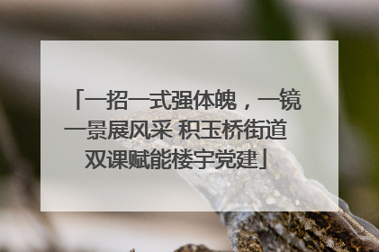 一招一式强体魄，一镜一景展风采 积玉桥街道双课赋能楼宇党建
