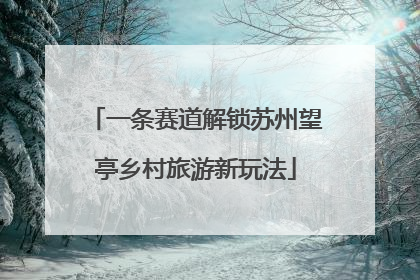 一条赛道解锁苏州望亭乡村旅游新玩法