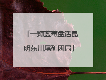 一颗蓝莓盘活昆明东川尾矿困局