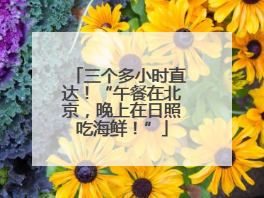 三个多小时直达！“午餐在北京，晚上在日照吃海鲜！”