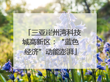 三亚崖州湾科技城高新区：“蓝色经济”动能澎湃