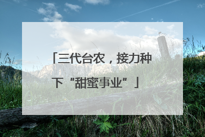 三代台农，接力种下“甜蜜事业”