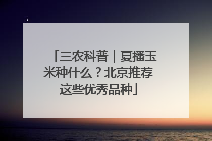 三农科普｜夏播玉米种什么？北京推荐这些优秀品种