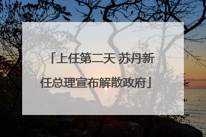 上任第二天 苏丹新任总理宣布解散政府