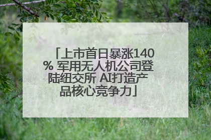 上市首日暴涨140% 军用无人机公司登陆纽交所 AI打造产品核心竞争力