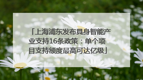 上海浦东发布具身智能产业支持16条政策：单个项目支持额度最高可达亿级
