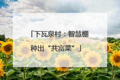 下瓦泉村：智慧棚种出“共富菜”