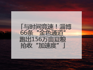 与时间竞速！淄博66条“金色通道”跑出156万亩夏粮抢收“加速度”