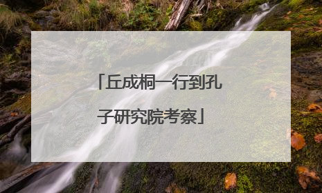丘成桐一行到孔子研究院考察