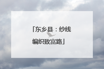 东乡县：纱线编织致富路
