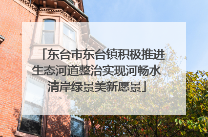 东台市东台镇积极推进生态河道整治实现河畅水清岸绿景美新愿景