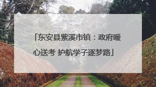 东安县紫溪市镇：政府暖心送考 护航学子逐梦路