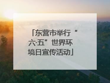 东营市举行“六·五”世界环境日宣传活动