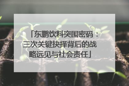 东鹏饮料突围密码：三次关键抉择背后的战略远见与社会责任