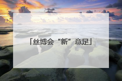 丝博会“新”意足