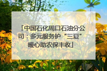 中国石化周口石油分公司：多元服务护“三夏” 暖心助农保丰收