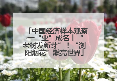 中国经济样本观察·一“业”成名丨“老树发新芽”！“浏阳烟花”燃亮世界