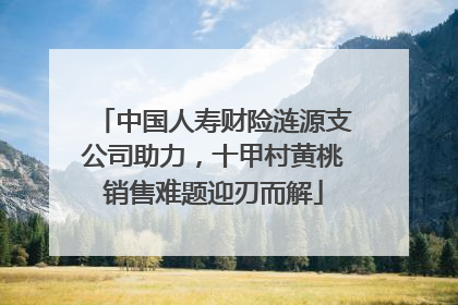 中国人寿财险涟源支公司助力，十甲村黄桃销售难题迎刃而解