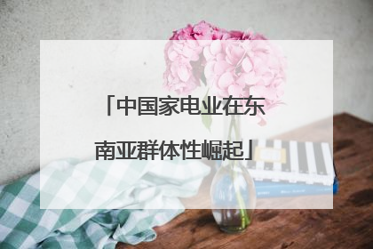 中国家电业在东南亚群体性崛起