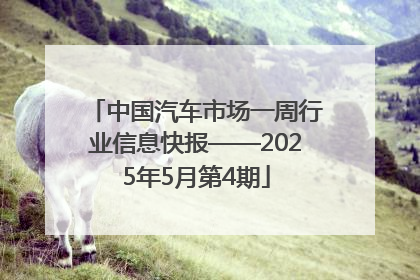中国汽车市场一周行业信息快报——2025年5月第4期