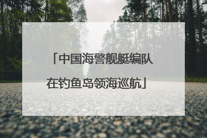 中国海警舰艇编队在钓鱼岛领海巡航