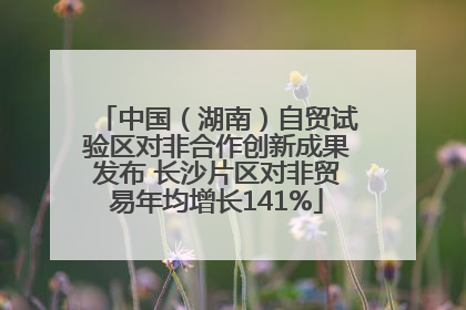 中国（湖南）自贸试验区对非合作创新成果发布 长沙片区对非贸易年均增长141%
