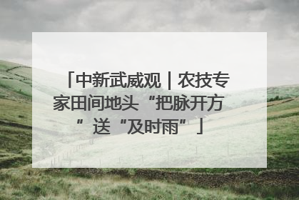 中新武威观｜农技专家田间地头“把脉开方”送“及时雨”