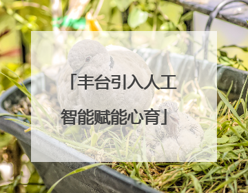 丰台引入人工智能赋能心育
