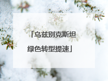 乌兹别克斯坦绿色转型提速